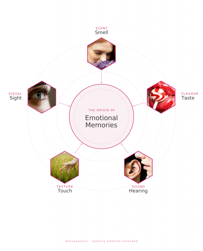 sensanalysis senses diagram